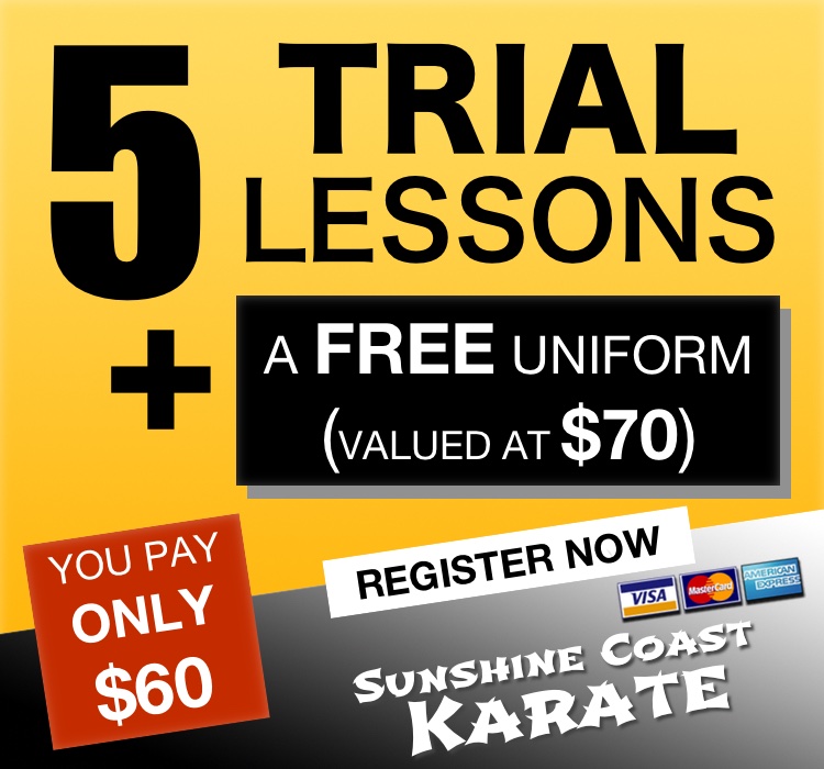 5 lesson trial offer