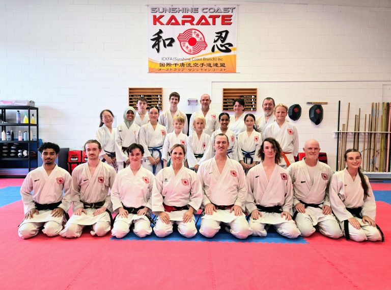206 Days to the Soke Cup: Why This Journey Matters for Every Sunshine Coast Karate Family