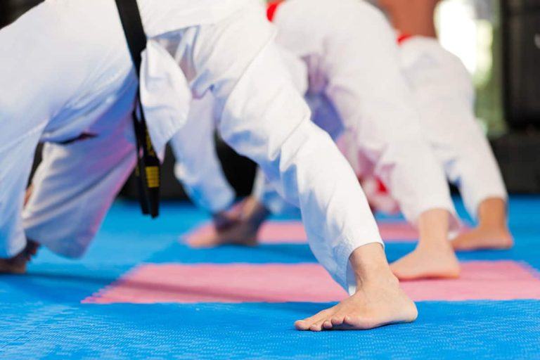 The Power of Alignment: Enhancing Karate with Modern Movement Principles