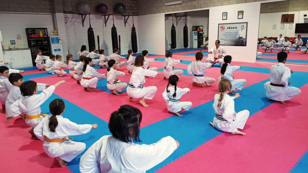 A Karate Kids class in horse stance, punching in unison