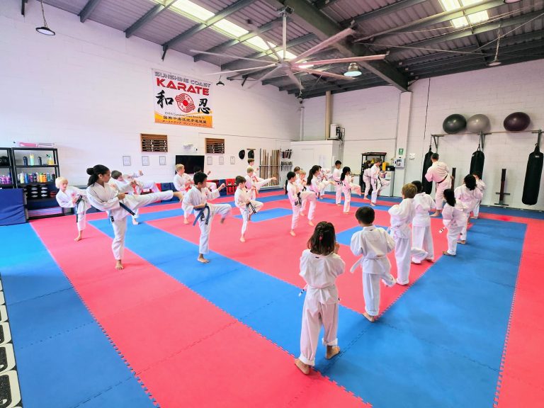 More Than a Holiday Activity: The Energy of Our Maroochydore Dojo