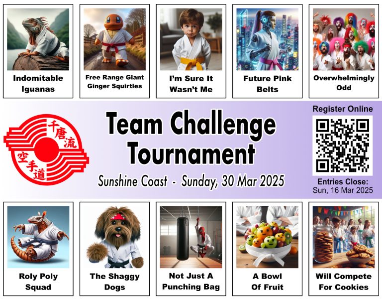 Sunshine Coast Chito-Ryu Karate Team Challenge Tournament